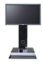 A Single Screen LFD